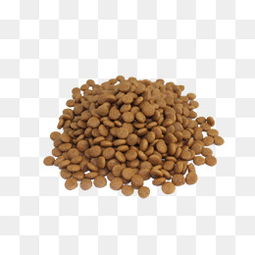 免费下载宠物食品图片大全 探索千库网PNG资源的宝库