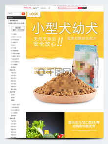 免费下载宠物食品素材与模板，首选千图网